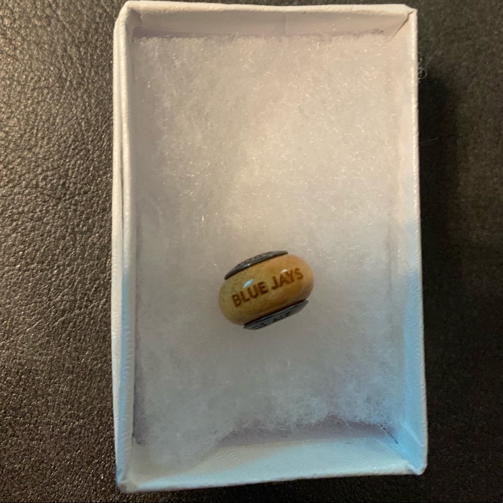 NEW blue Jays Pandora Charm